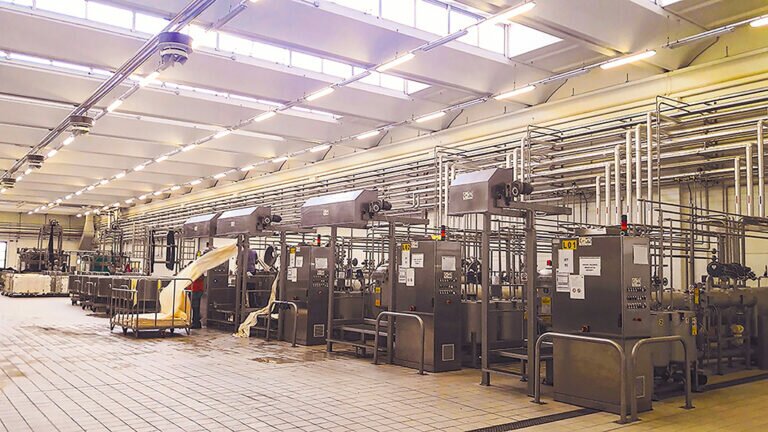 LAIP – Italian Dyeing Technology since 1958